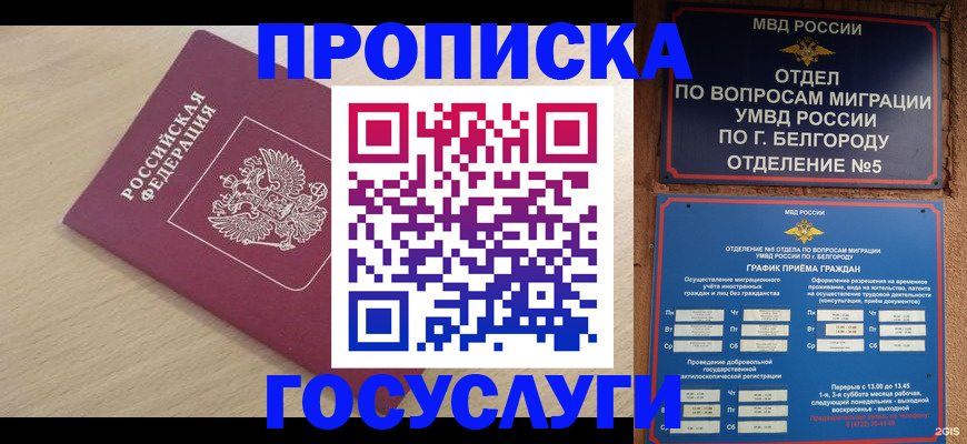 прописка законно в Ульяновской области